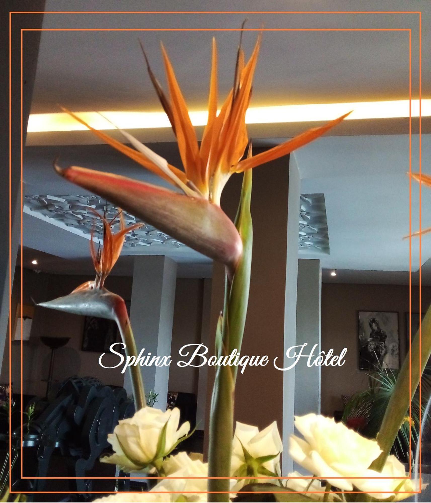 Le Sphinx Boutique Hotel Mohammedia Exterior foto
